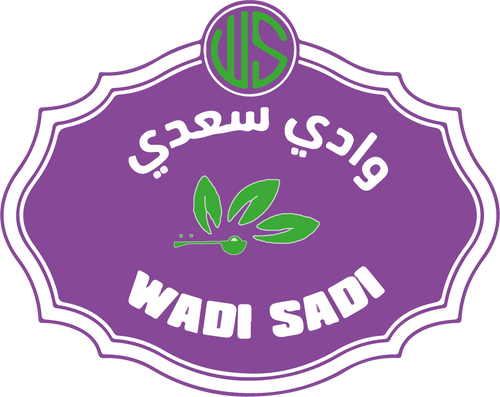 Wadi Sadi